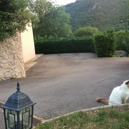 Gource Avec Vue Sur Le Chateau Foix