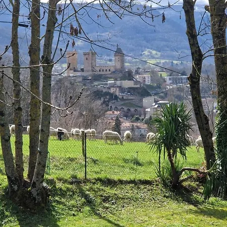 Gource Avec Vue Sur Le Chateau Chalet Foix
