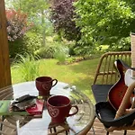 Gource Avec Vue Sur Le Château * Foix