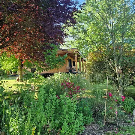 Gource Avec Vue Sur Le Chateau Foix