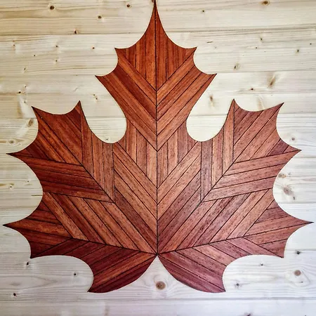 Gource Avec Vue Sur Le Chateau