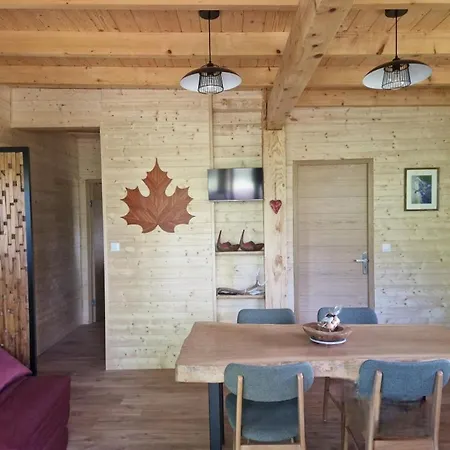 Gource Avec Vue Sur Le Chateau Chalet